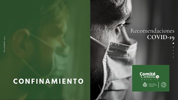 Informe confinamiento, Comité CientíficoCovid-19