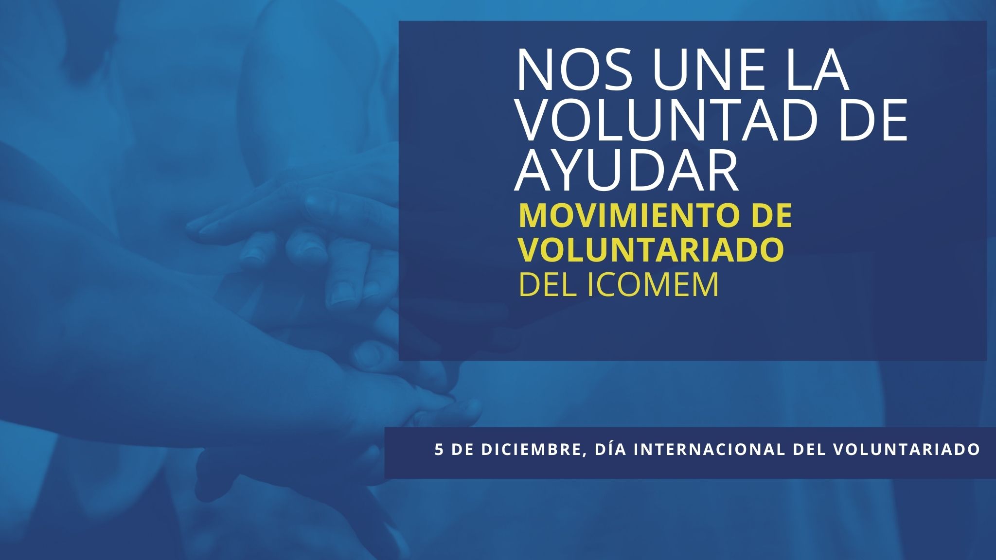 dia del voluntario