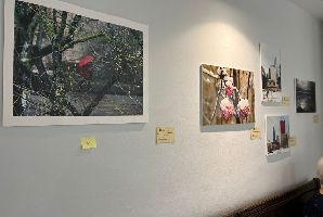 El ICOMEM entrega los premios del concurso de pintura, fotografía y relatos cortos con la temática ‘El invierno que nos espera’