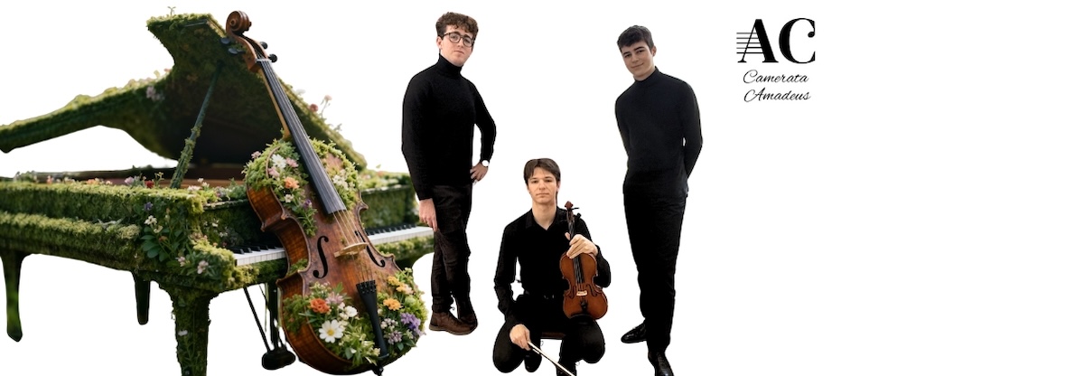 Venta de entradas abierta: Primavera de Clásicos: Orquesta Camerata Amadeus (19 de marzo 2026)